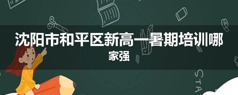 沈阳市和平区新高一暑期培训哪家强