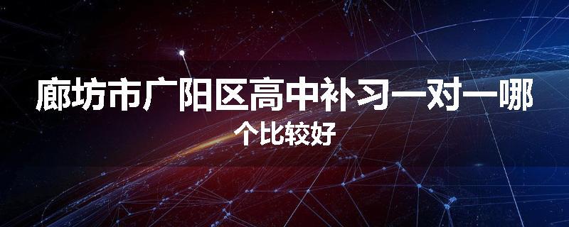 廊坊市广阳区高中补习一对一哪个比较好