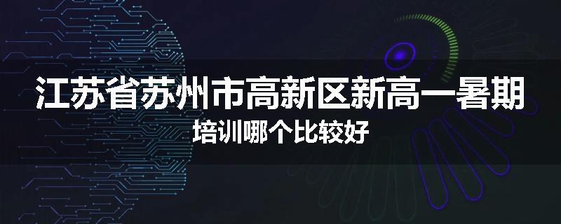 江苏省苏州市高新区新高一暑期培训哪个比较好