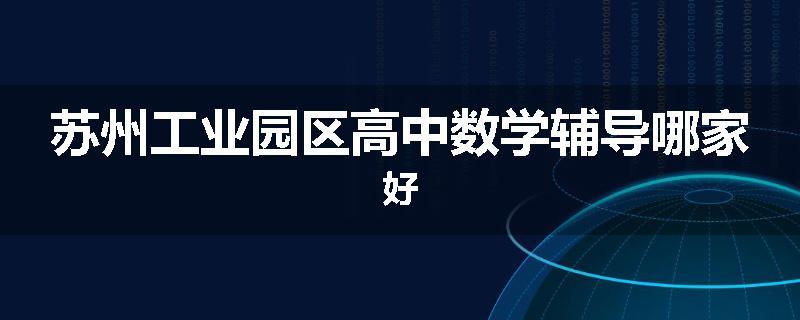 苏州工业园区高中数学辅导哪家好