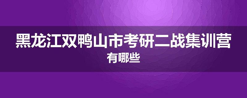黑龙江双鸭山市考研二战集训营有哪些