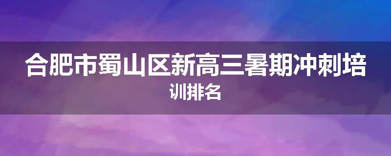 合肥市蜀山区新高三暑期冲刺培训排名