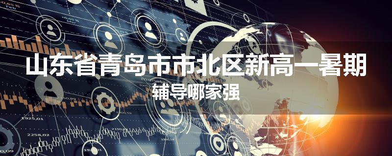 山东省青岛市市北区新高一暑期辅导哪家强
