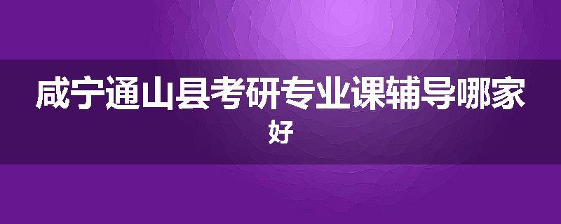 咸宁通山县考研专业课辅导哪家好