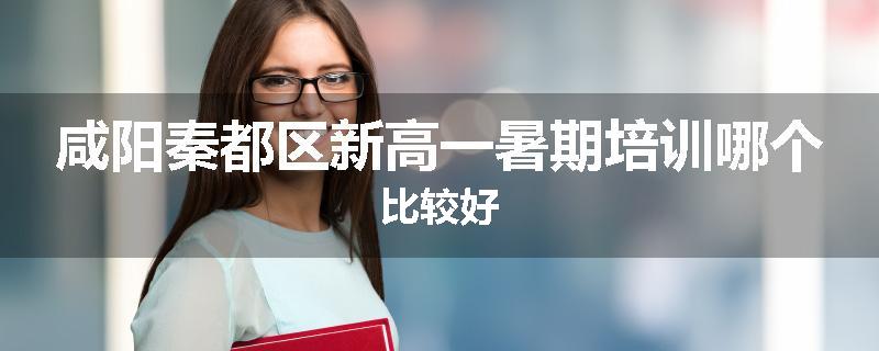 咸阳秦都区新高一暑期培训哪个比较好