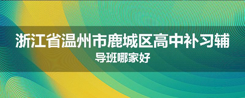 浙江省温州市鹿城区高中补习辅导班哪家好