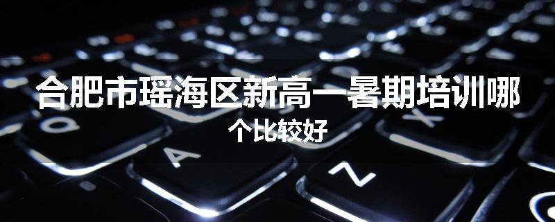 合肥市瑶海区新高一暑期培训哪个比较好