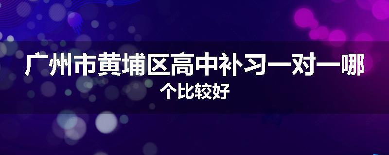 广州市黄埔区高中补习一对一哪个比较好