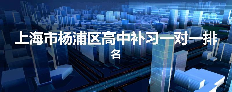 上海市杨浦区高中补习一对一排名