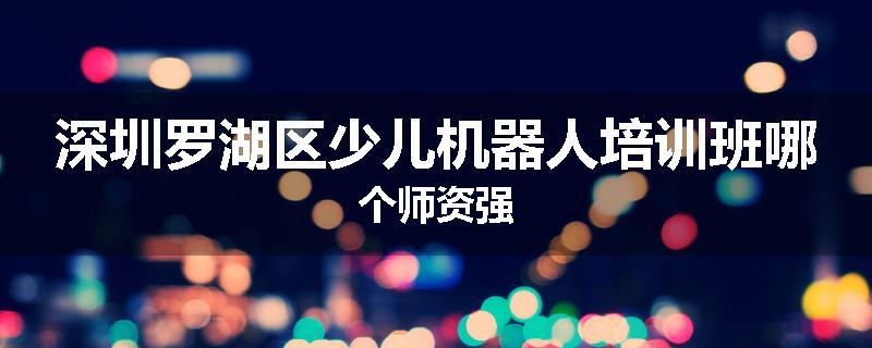深圳罗湖区少儿机器人培训班哪个师资强