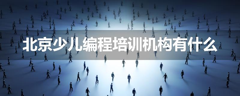 北京少儿编程培训机构有什么