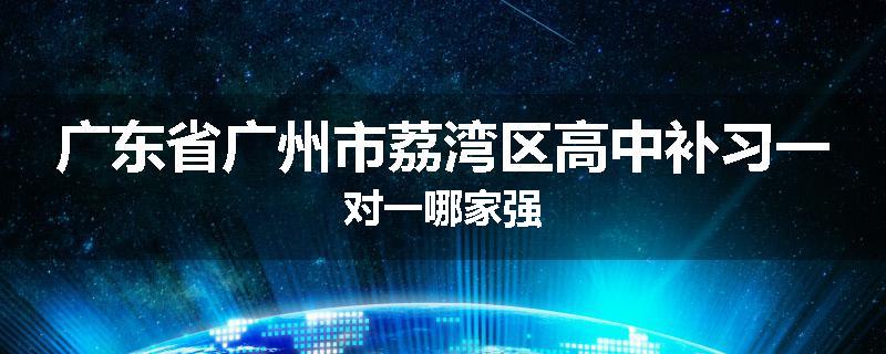 广东省广州市荔湾区高中补习一对一哪家强