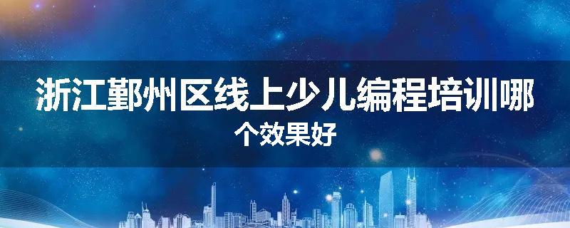 浙江鄞州区线上少儿编程培训哪个效果好
