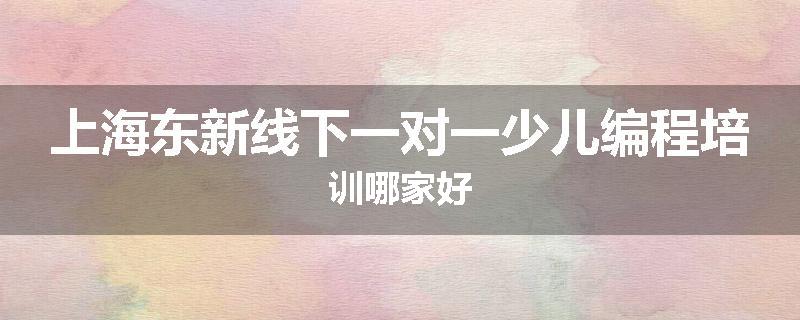 上海东新线下一对一少儿编程培训哪家好