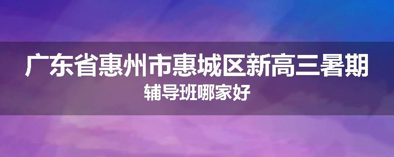 广东省惠州市惠城区新高三暑期辅导班哪家好