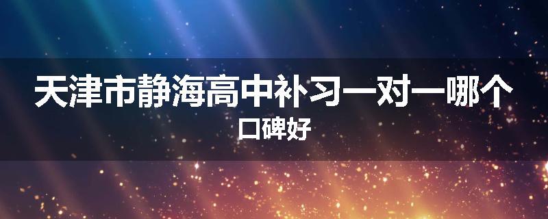 天津市静海高中补习一对一哪个口碑好