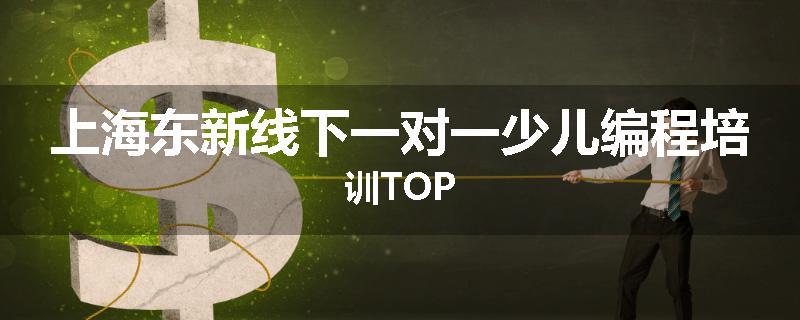 上海东新线下一对一少儿编程培训TOP