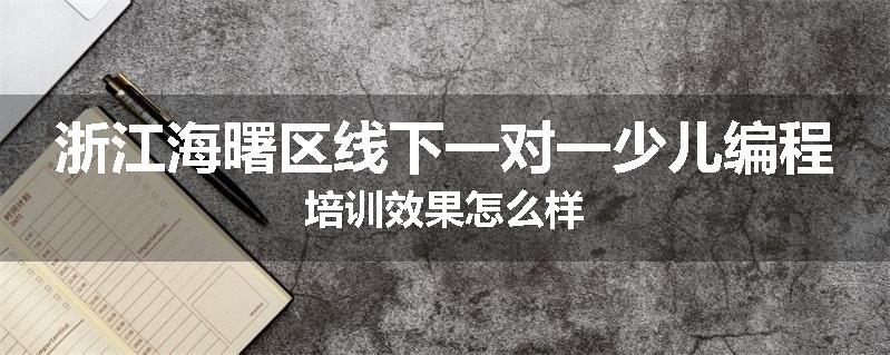 浙江海曙区线下一对一少儿编程培训效果怎么样