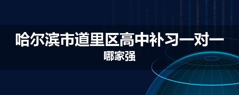 哈尔滨市道里区高中补习一对一哪家强