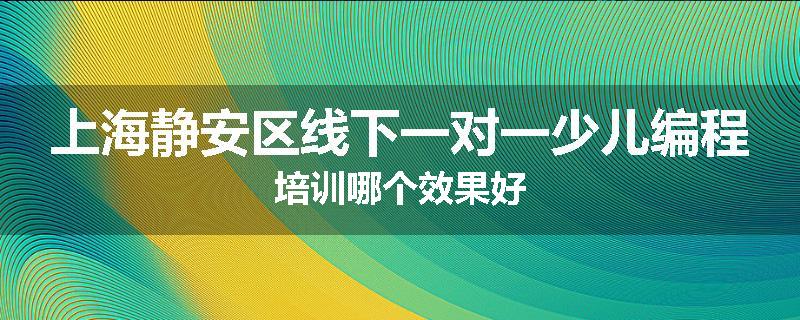 上海静安区线下一对一少儿编程培训哪个效果好