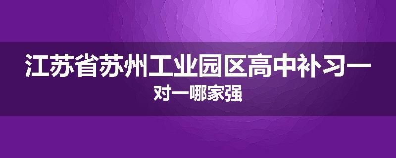 江苏省苏州工业园区高中补习一对一哪家强