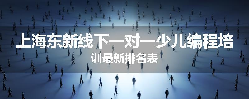 上海东新线下一对一少儿编程培训最新排名表