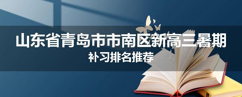 山东省青岛市市南区新高三暑期补习排名推荐