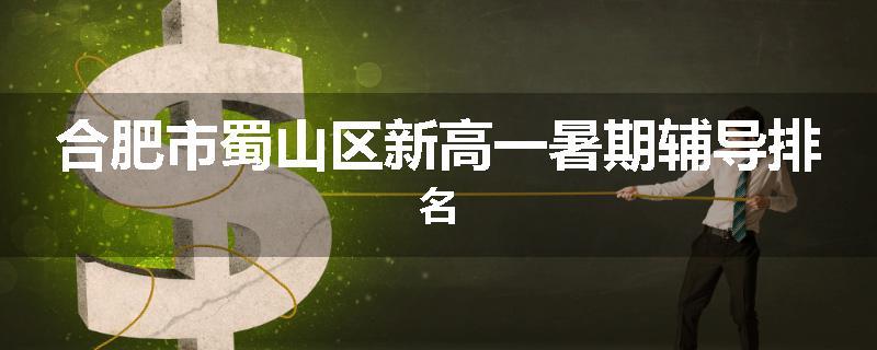 合肥市蜀山区新高一暑期辅导排名