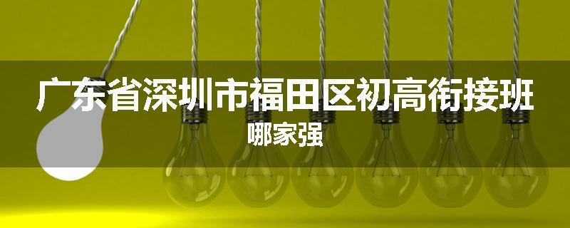 广东省深圳市福田区初高衔接班哪家强
