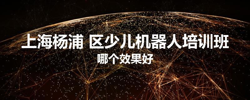 上海杨浦 区少儿机器人培训班哪个效果好