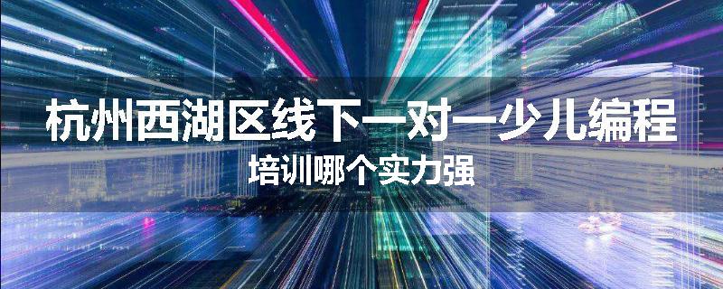 杭州西湖区线下一对一少儿编程培训哪个实力强