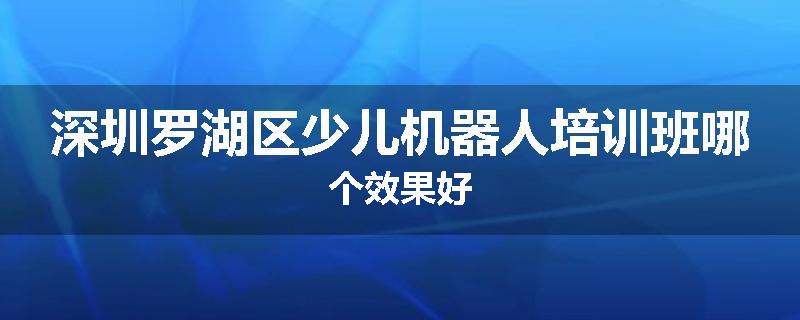 深圳罗湖区少儿机器人培训班哪个效果好