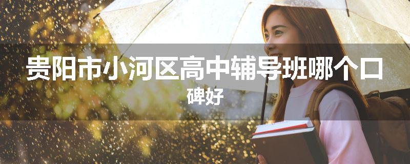 贵阳市小河区高中辅导班哪个口碑好