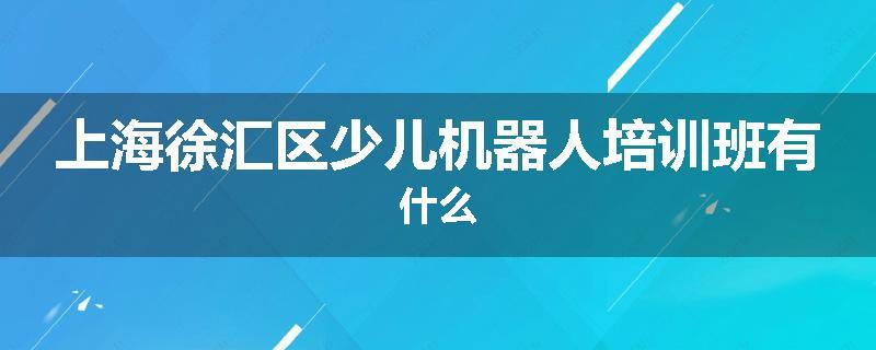 上海徐汇区少儿机器人培训班有什么