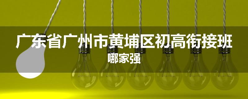 广东省广州市黄埔区初高衔接班哪家强
