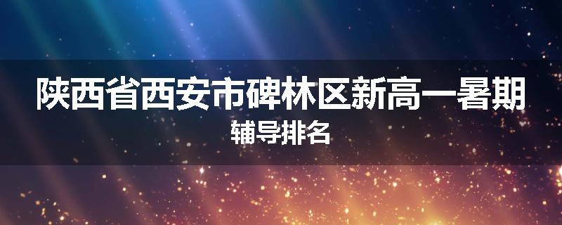 陕西省西安市碑林区新高一暑期辅导排名