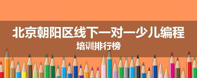 北京朝阳区线下一对一少儿编程培训排行榜
