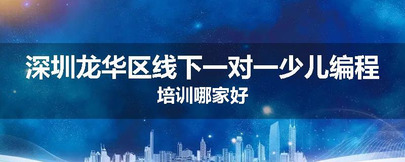 深圳龙华区线下一对一少儿编程培训哪家好