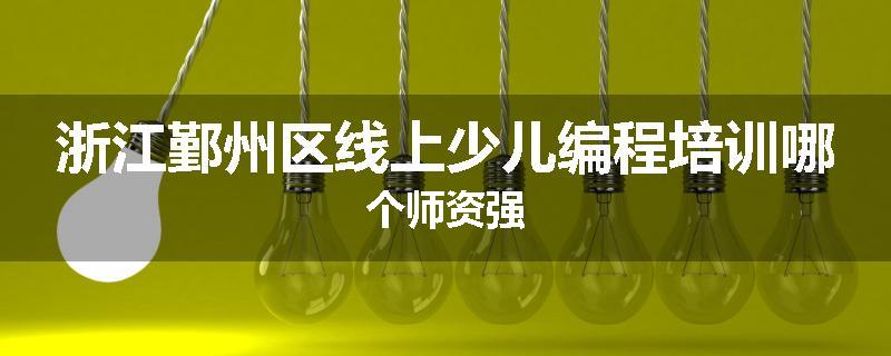 浙江鄞州区线上少儿编程培训哪个师资强