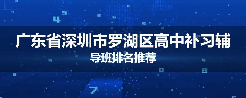 广东省深圳市罗湖区高中补习辅导班排名推荐