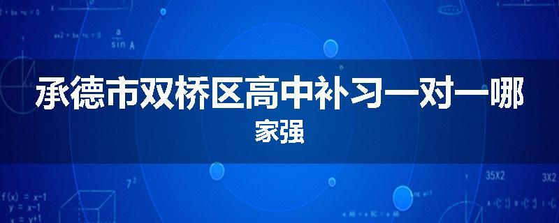 承德市双桥区高中补习一对一哪家强