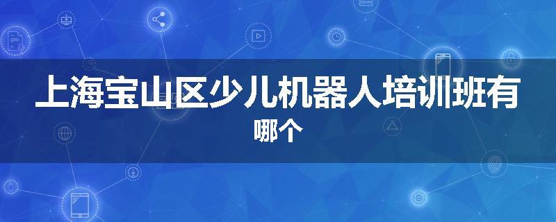 上海宝山区少儿机器人培训班有哪个