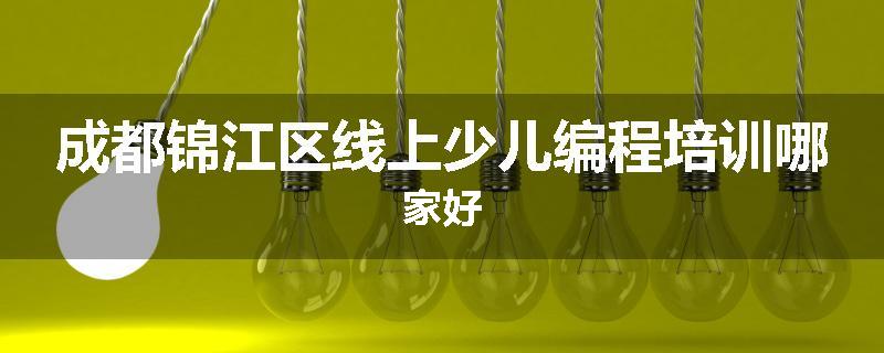成都锦江区线上少儿编程培训哪家好