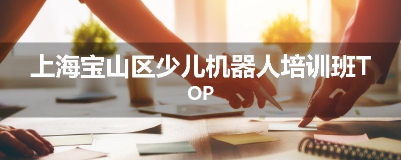 上海宝山区少儿机器人培训班TOP