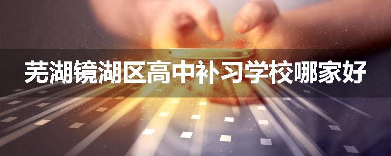 芜湖镜湖区高中补习学校哪家好