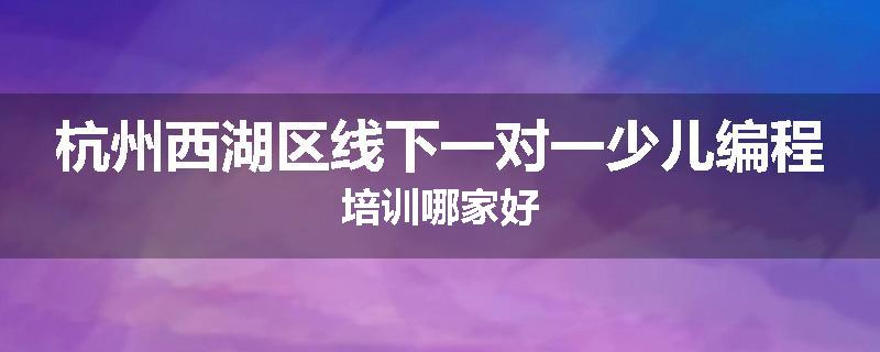 杭州西湖区线下一对一少儿编程培训哪家好