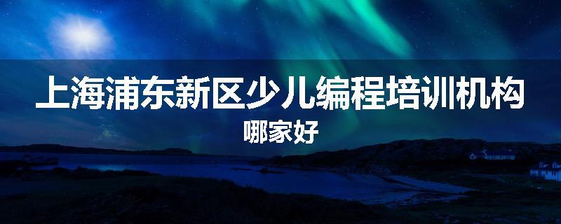 上海浦东新区少儿编程培训机构哪家好
