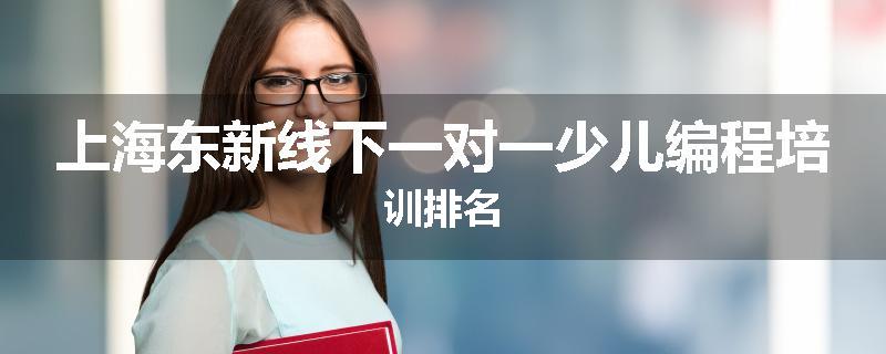 上海东新线下一对一少儿编程培训排名