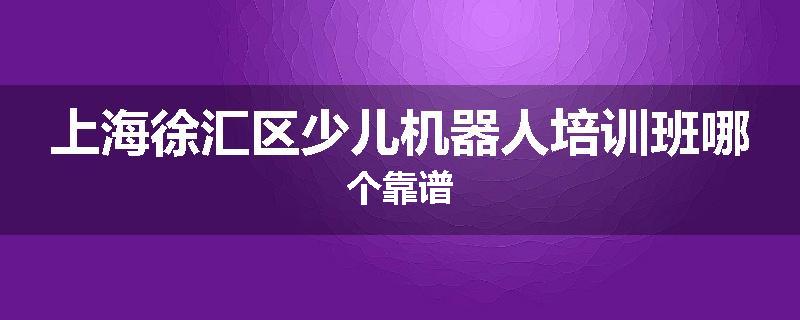 上海徐汇区少儿机器人培训班哪个靠谱
