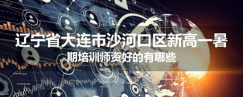 辽宁省大连市沙河口区新高一暑期培训师资好的有哪些